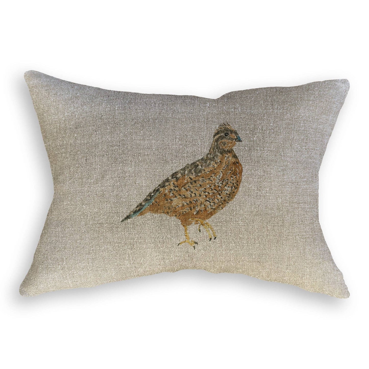 Brown Quail