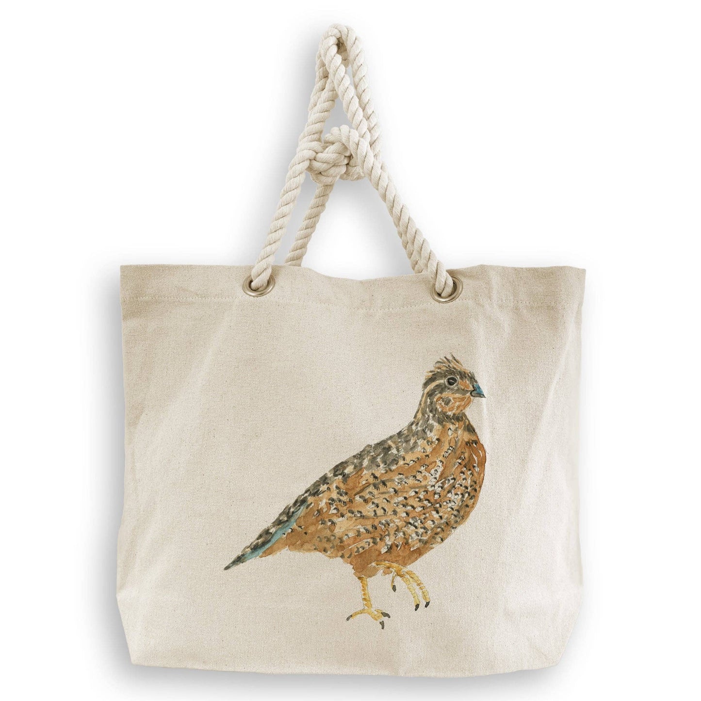 Brown Quail