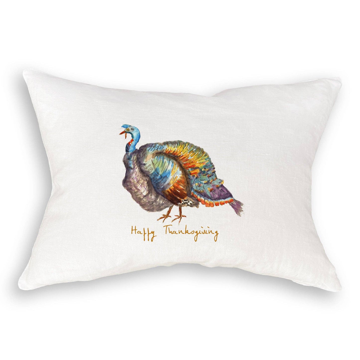 Colorful Turkey