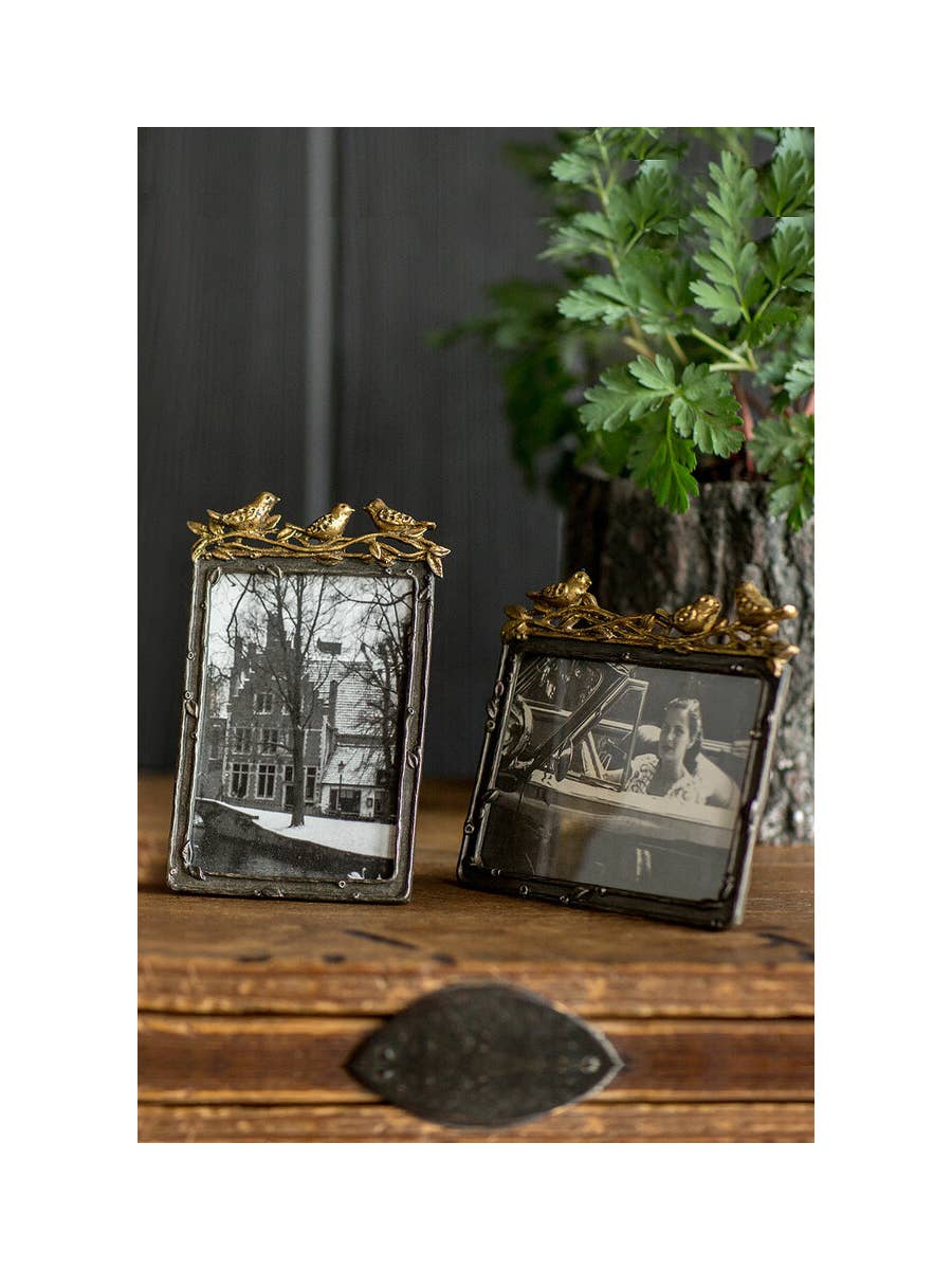 Gold picture frames