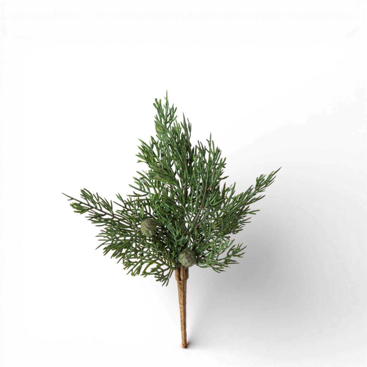 PX108 Cypress Pine w/Pods Pick 9.5" PK24