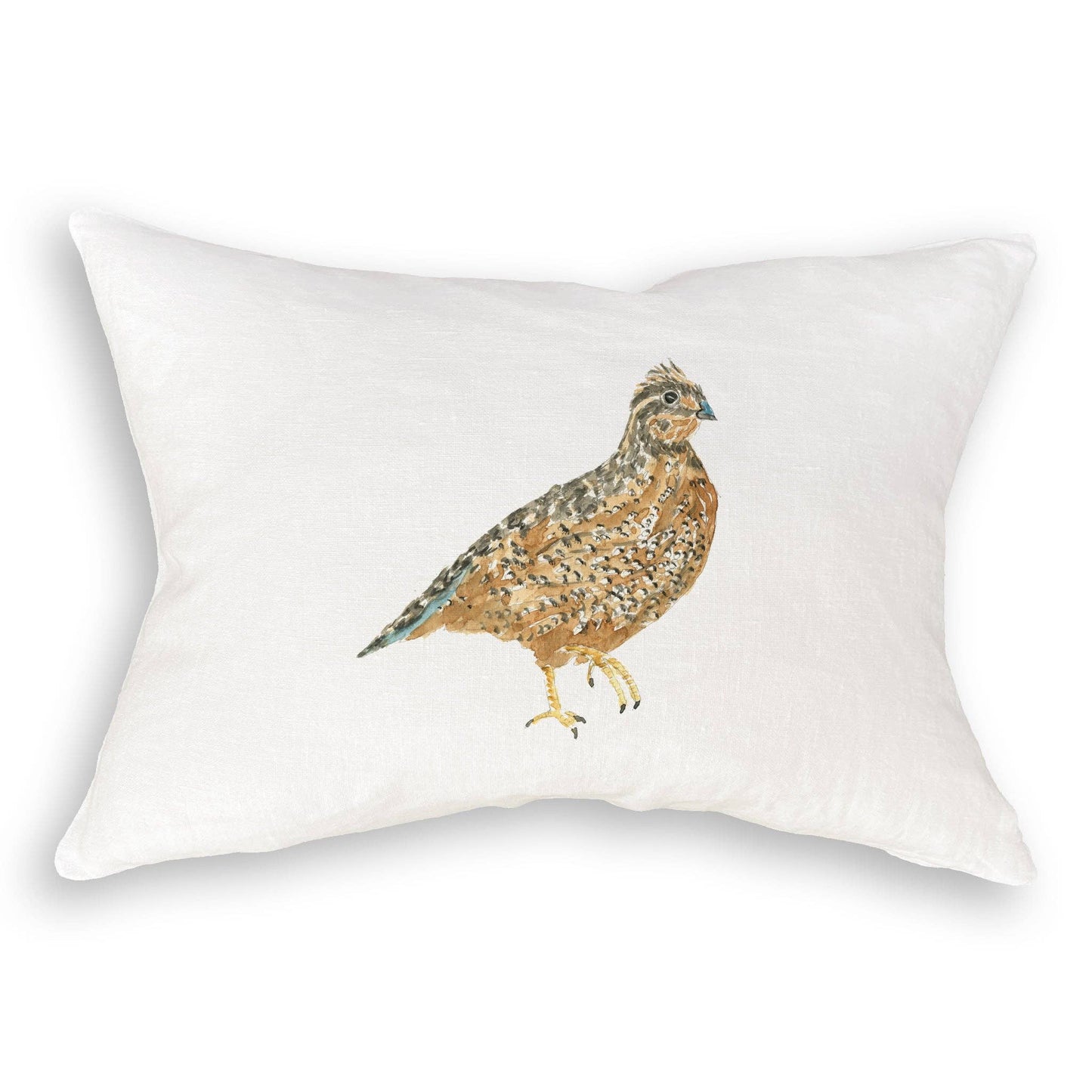 Brown Quail