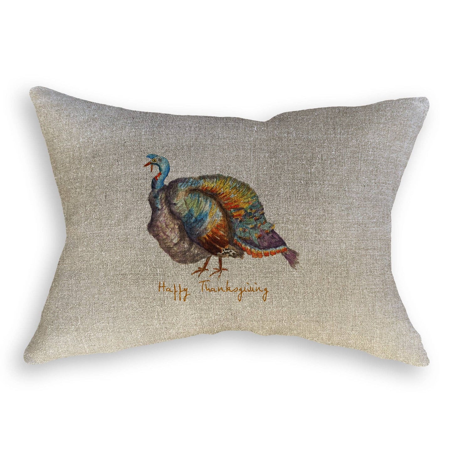 Colorful Turkey