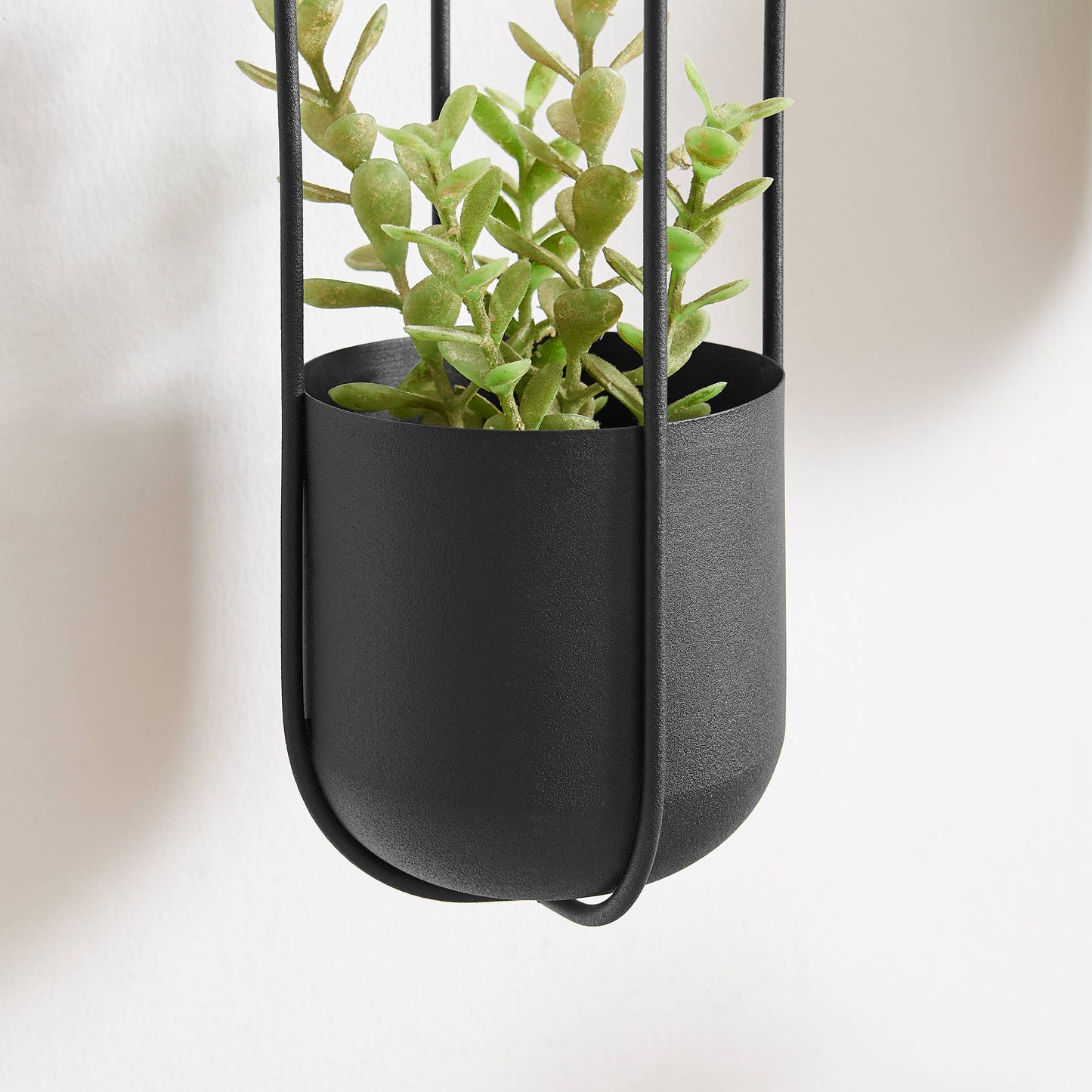 Walter 2-Piece Modern Black Oval Hanging Wall Planter Set