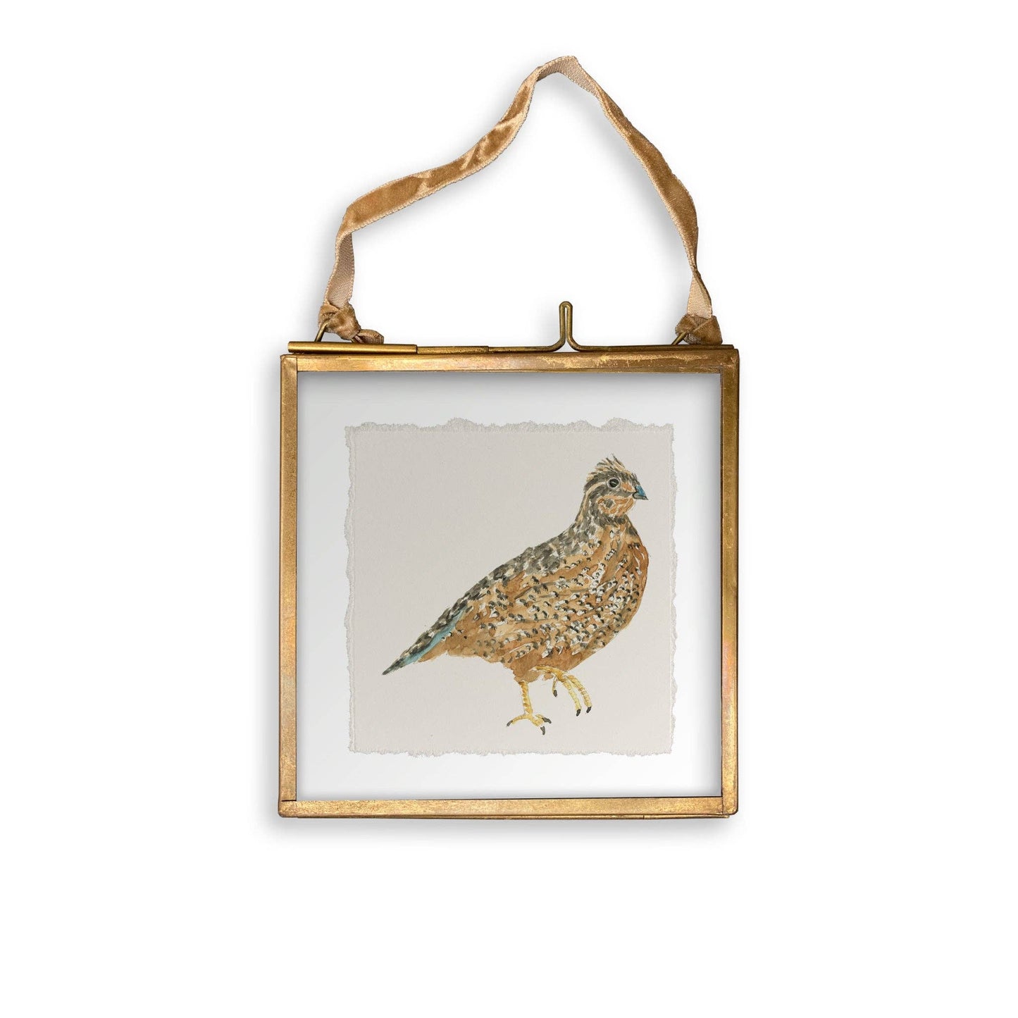 Brown Quail