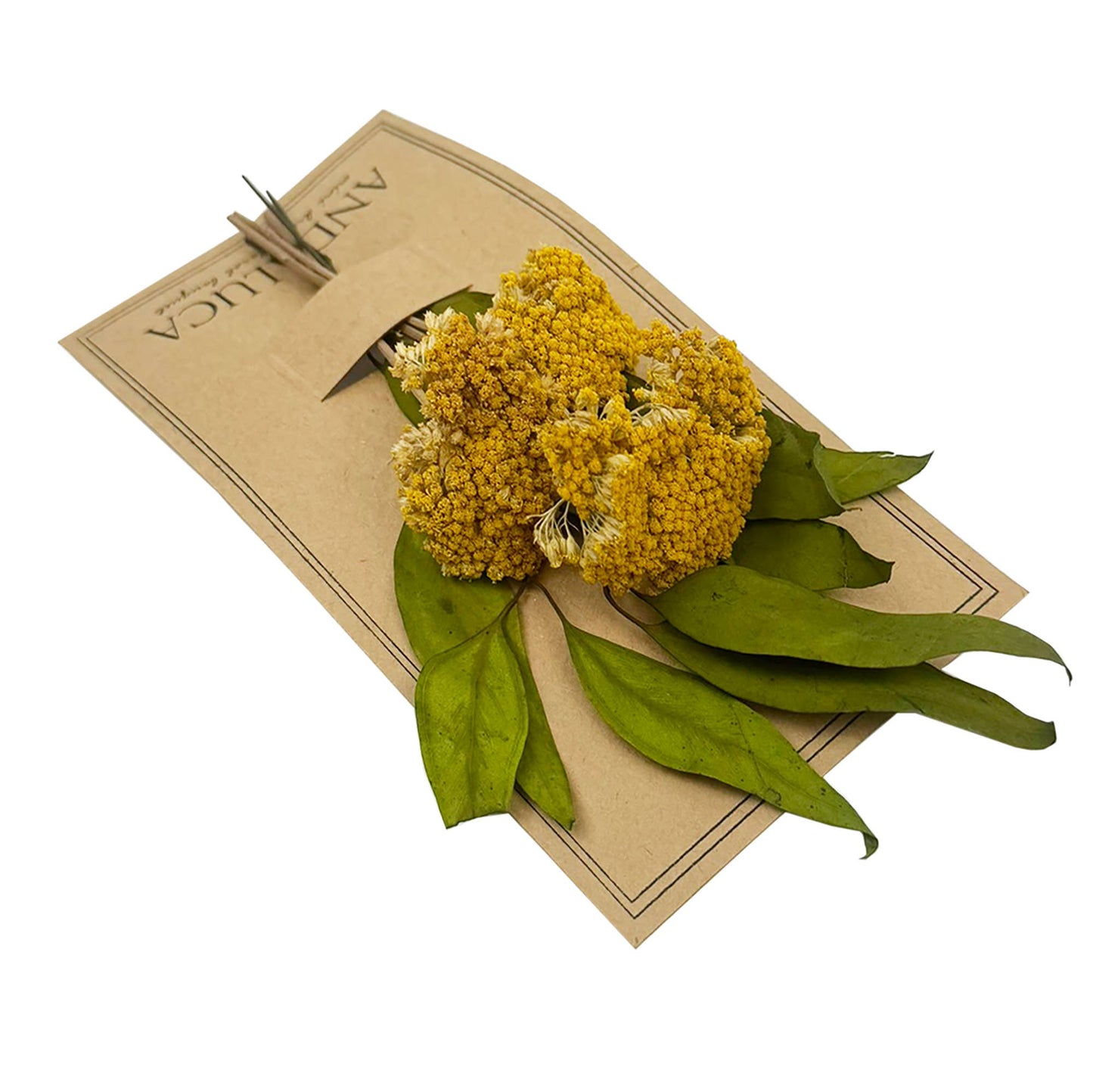 Willow & Yarrow Mini Bouquet #140