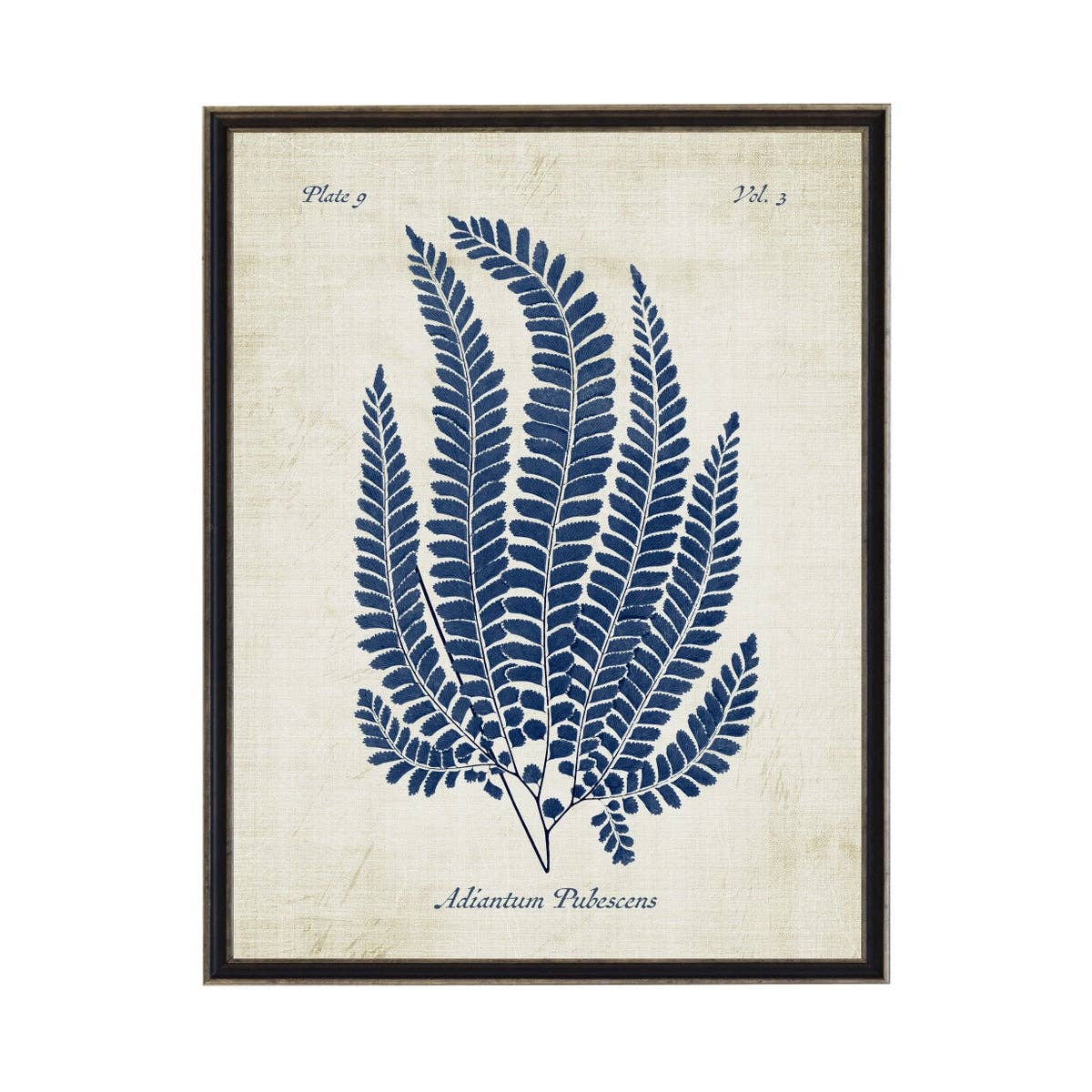 Navy Fern On Distressed Background