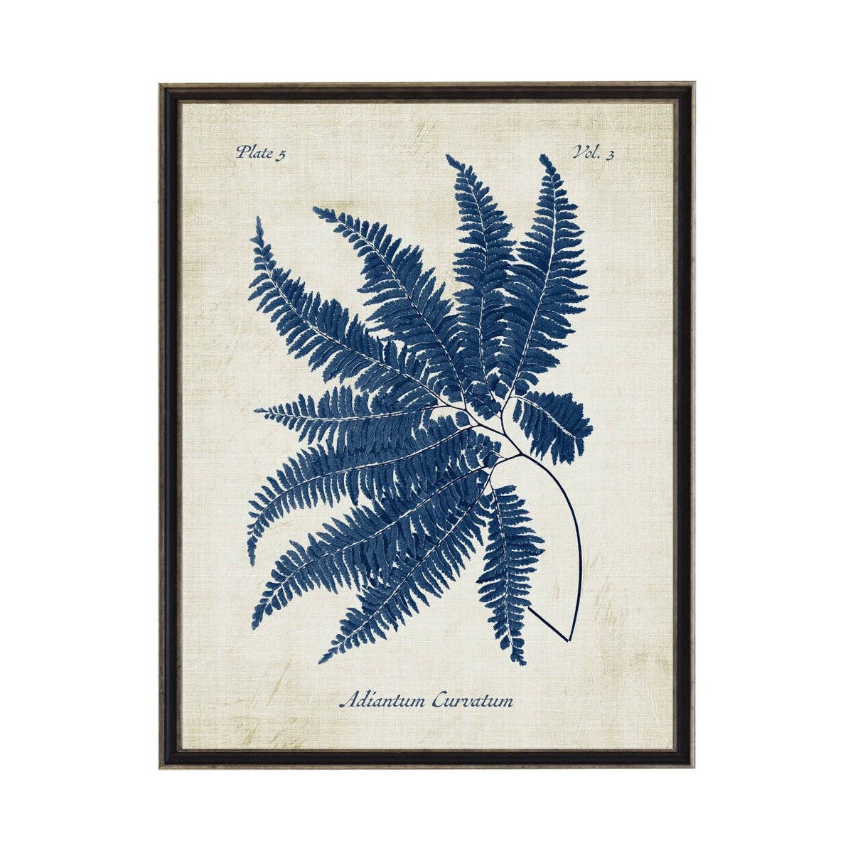 Navy Fern On Distressed Background