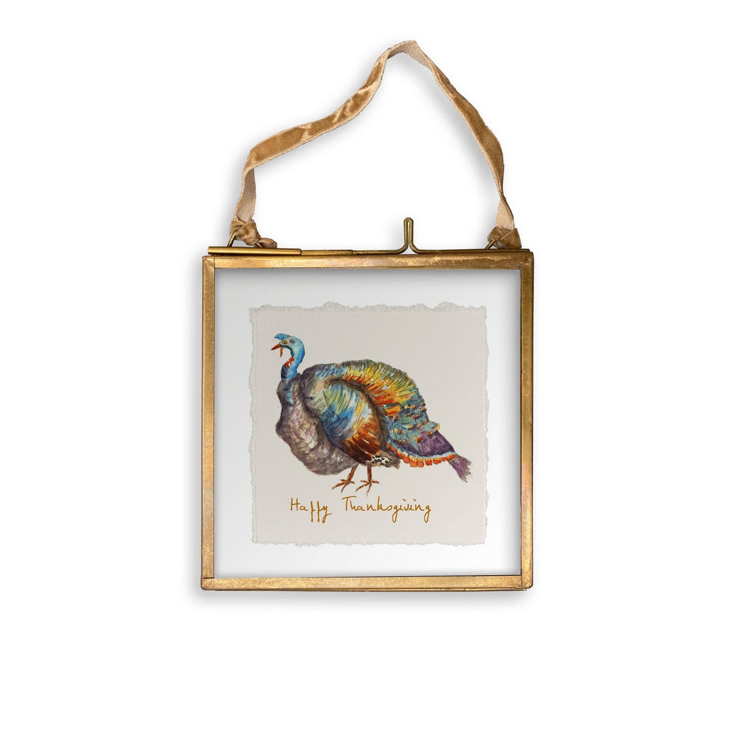 Colorful Turkey