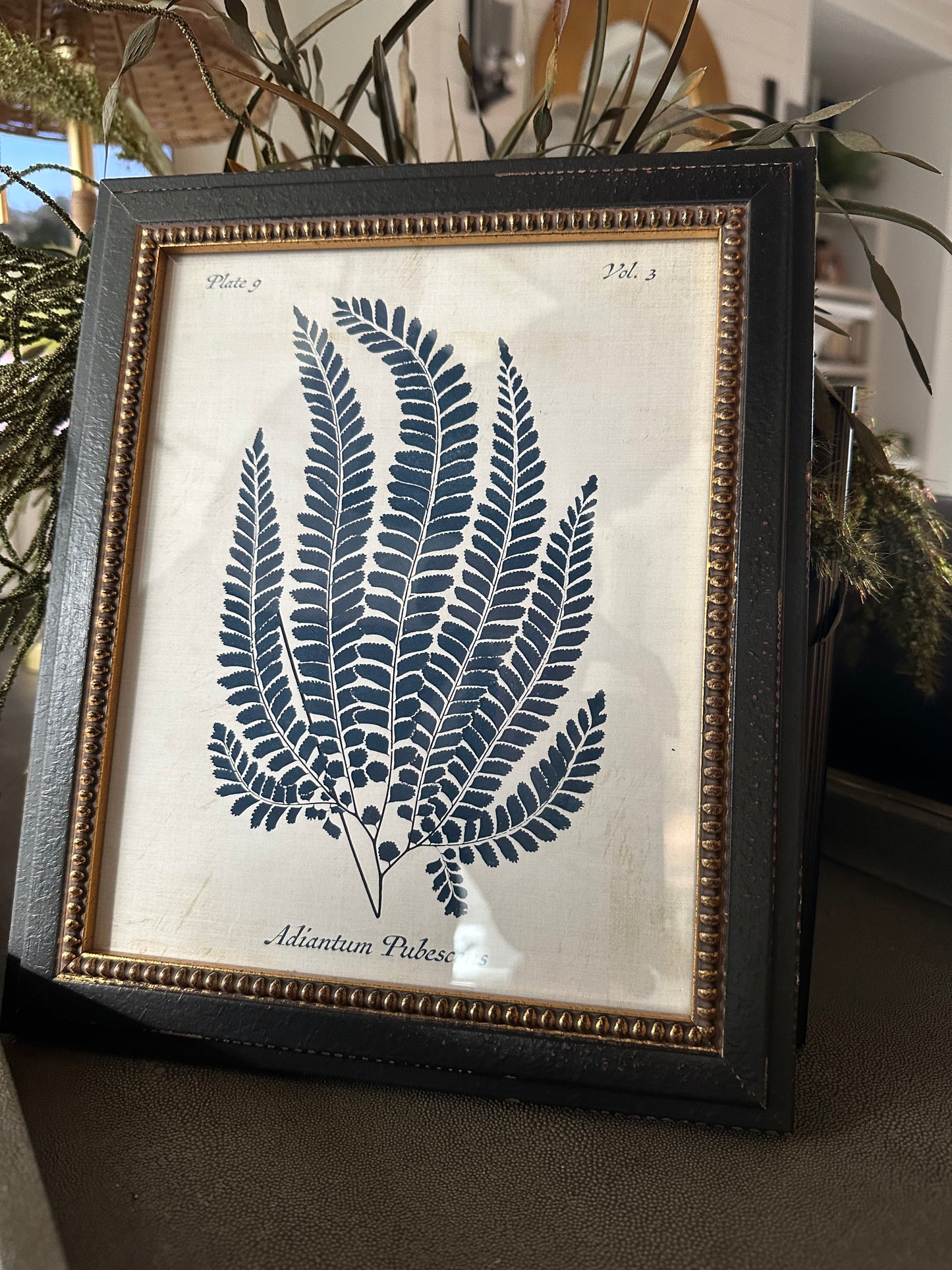 Navy Fern On Distressed Background