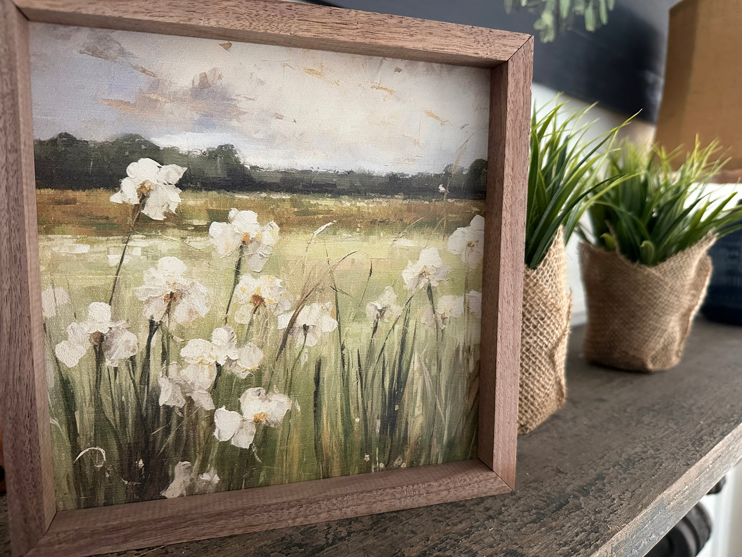 Wild White Irises By Gina Kelly