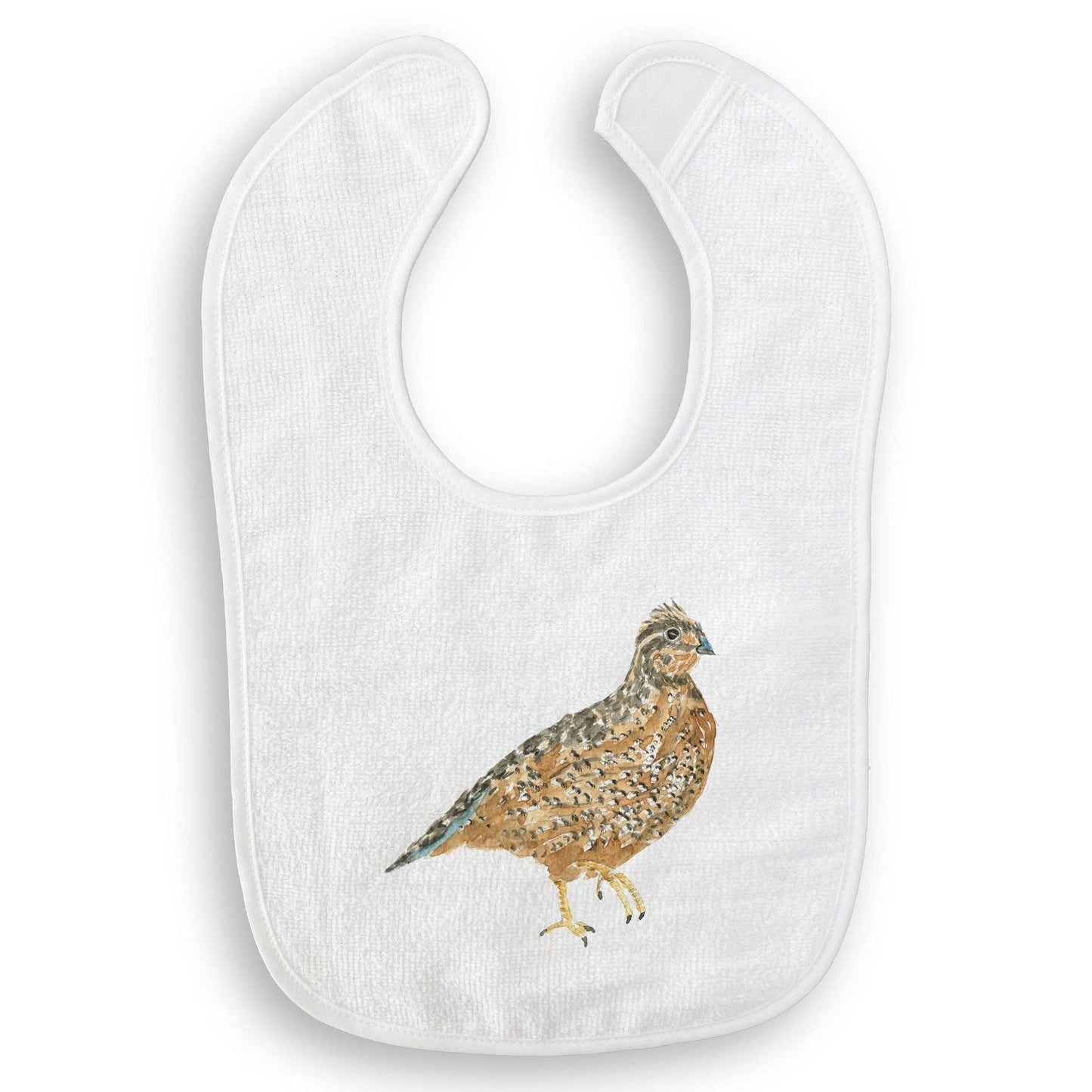 Brown Quail