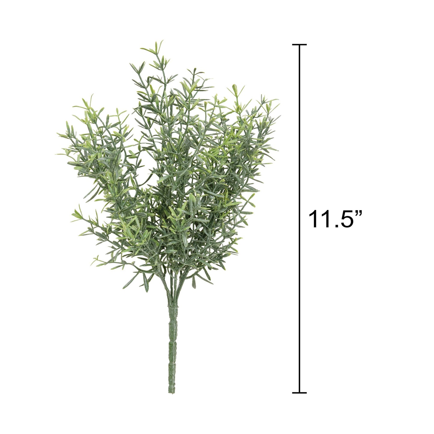 Dusty Rosemary Bush - 11-1/2 In