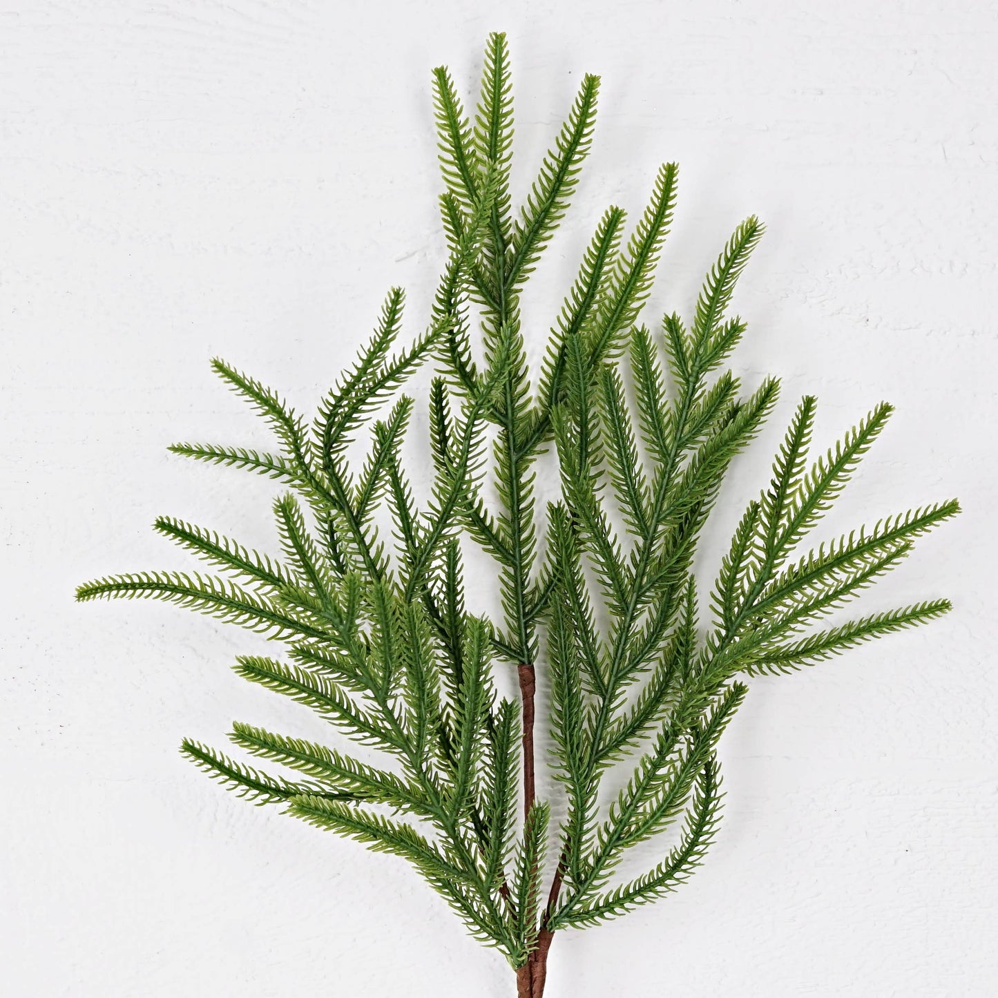 31855- 24in Spray-Soft touch Evergreen Norfolk Pines-