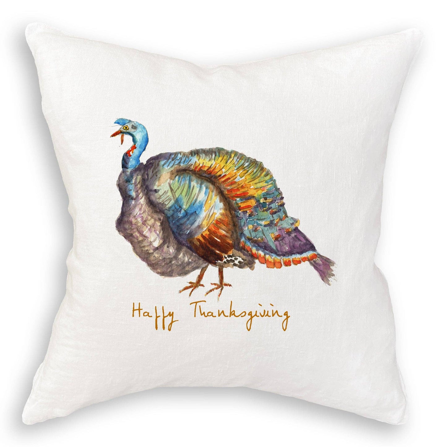 Colorful Turkey