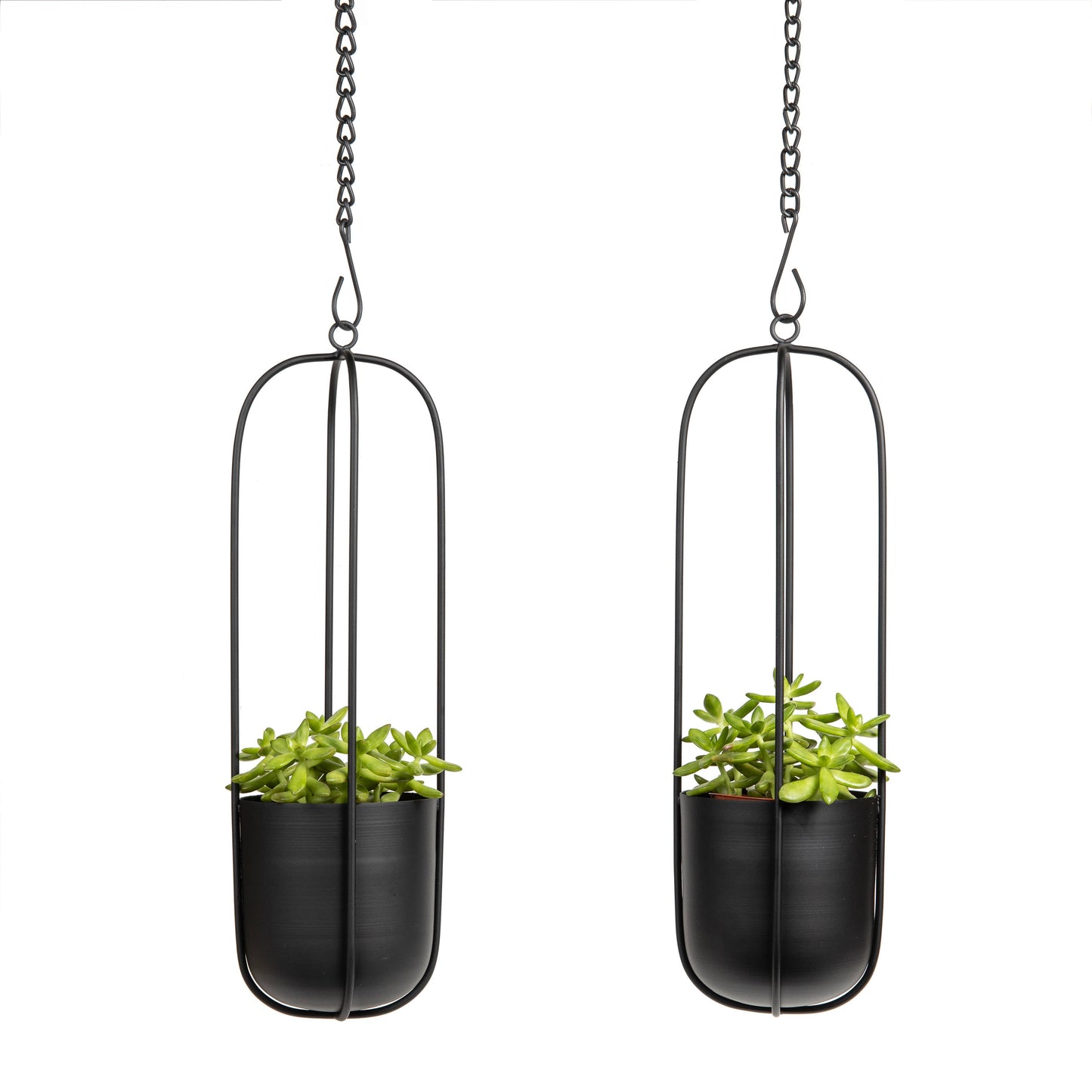 Walter 2-Piece Modern Black Oval Hanging Wall Planter Set