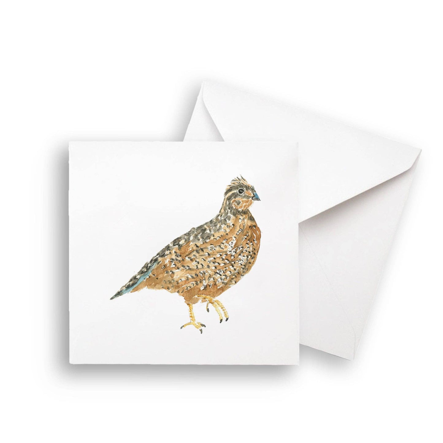 Brown Quail