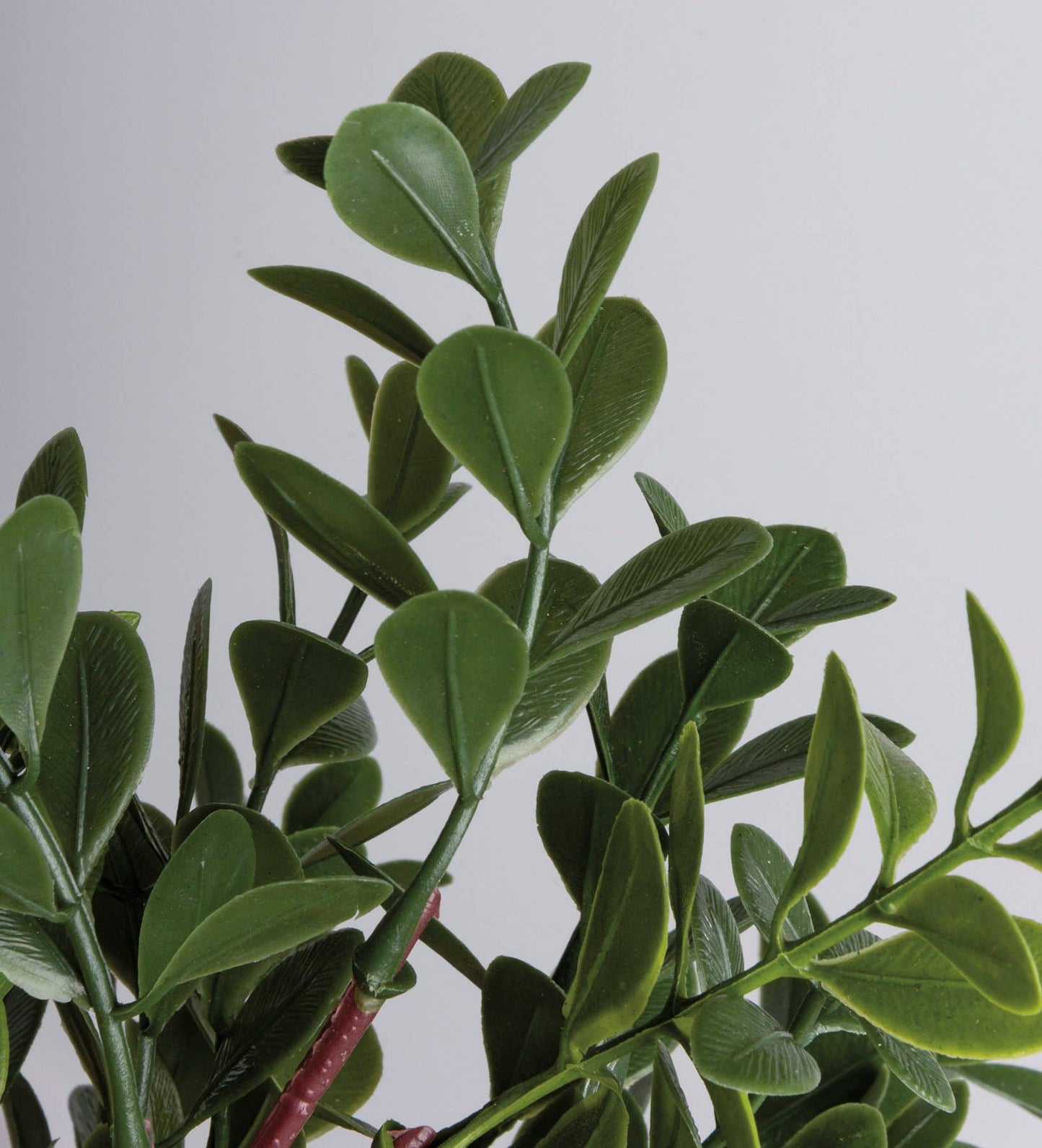 Small Boxwood Floral Pick