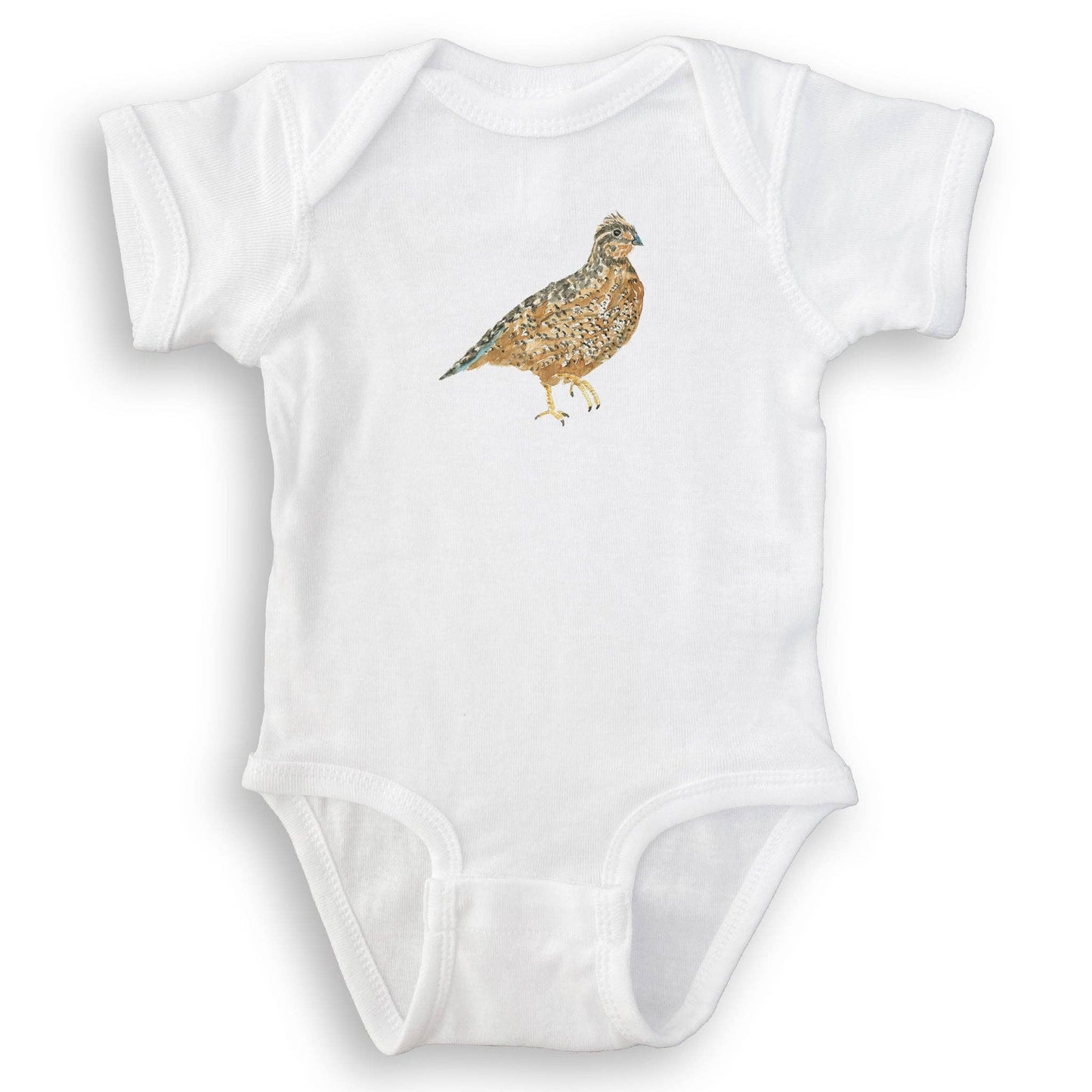 Brown Quail
