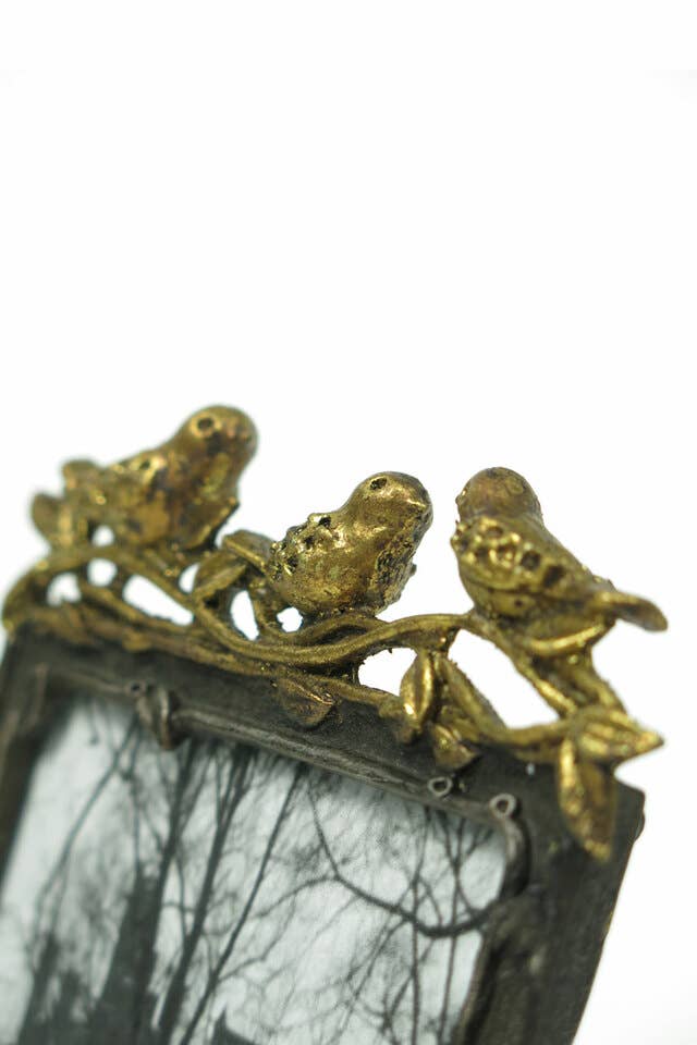 Gold picture frames