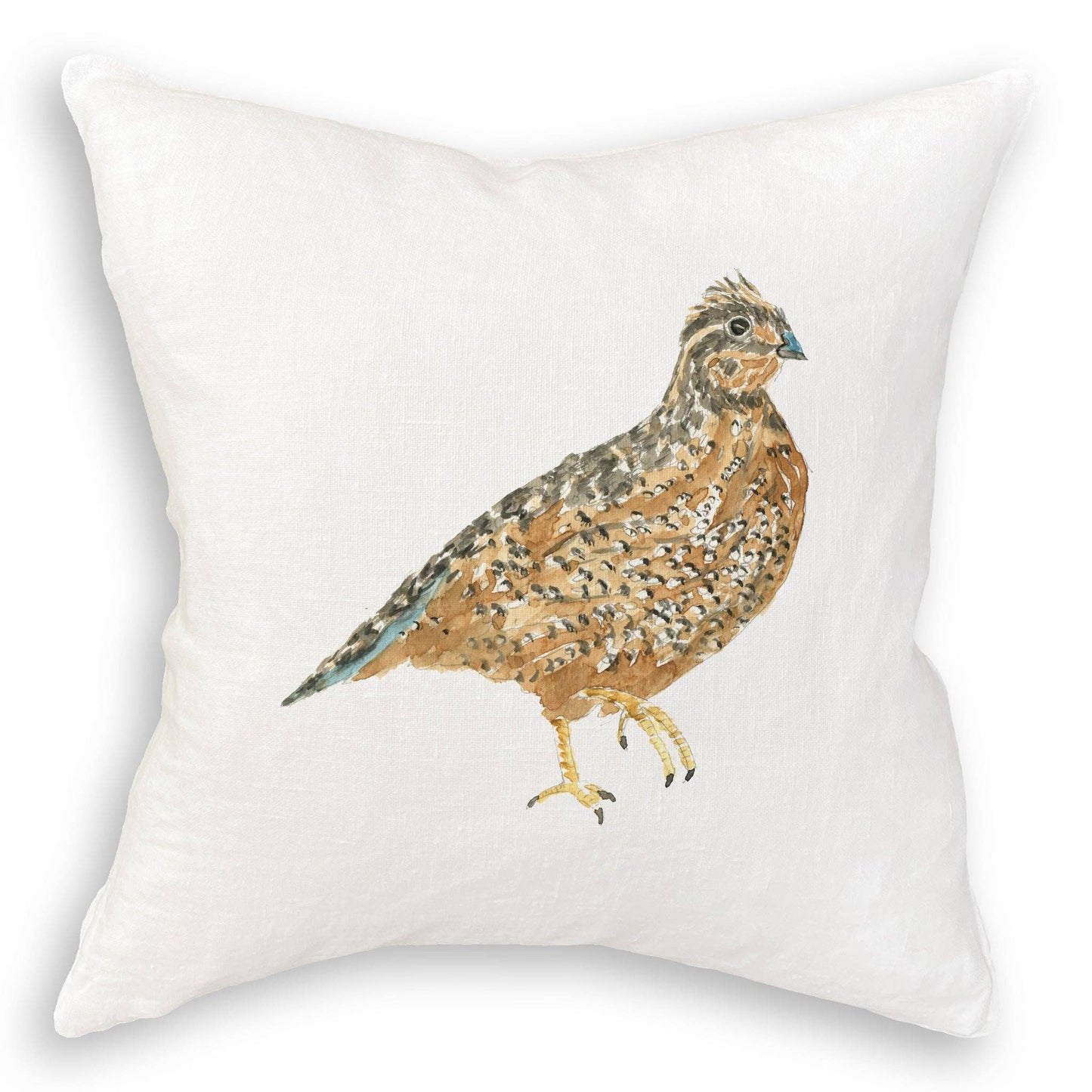 Brown Quail