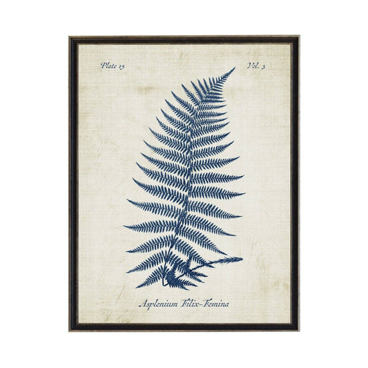 Navy Fern On Distressed Background
