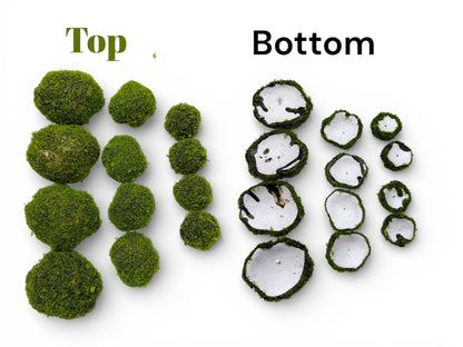 Artificial Petite Moss Dome Set