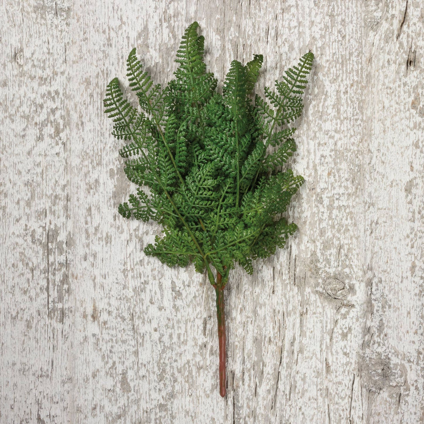 Lacy Dark Fern Floral Pick