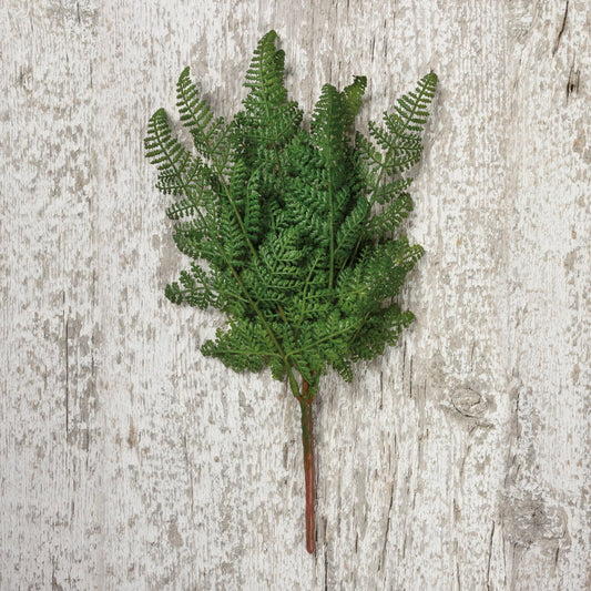 Lacy Dark Fern Floral Pick