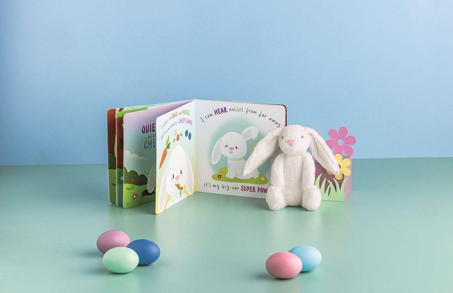 Bunny Book with Plush Set