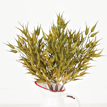 530062- 16in Bush-Sage Bearded Wheat Grass-