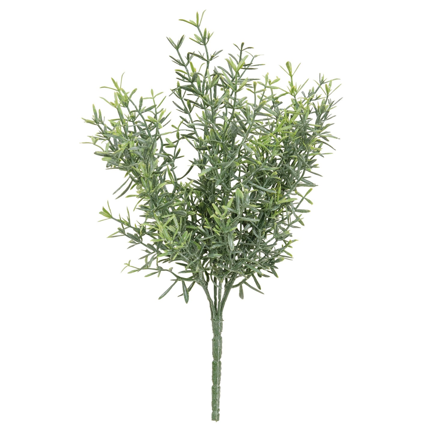 Dusty Rosemary Bush - 11-1/2 In