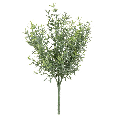 Dusty Rosemary Bush - 11-1/2 In