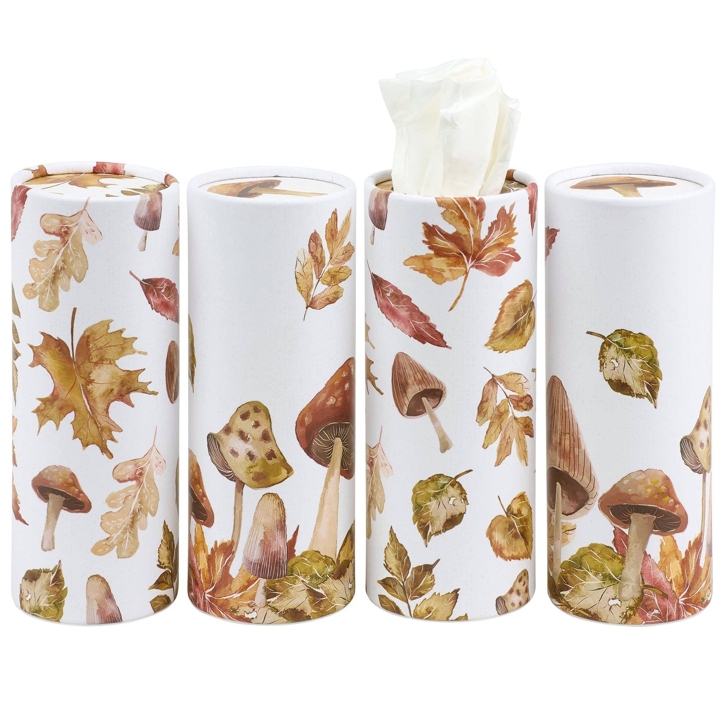Harvest Tissue Box Set