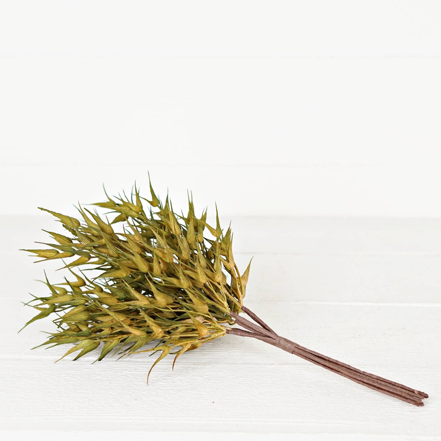530062- 16in Bush-Sage Bearded Wheat Grass-