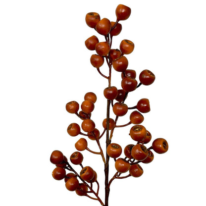 Grand Pod Berry Spray 24" - Orange