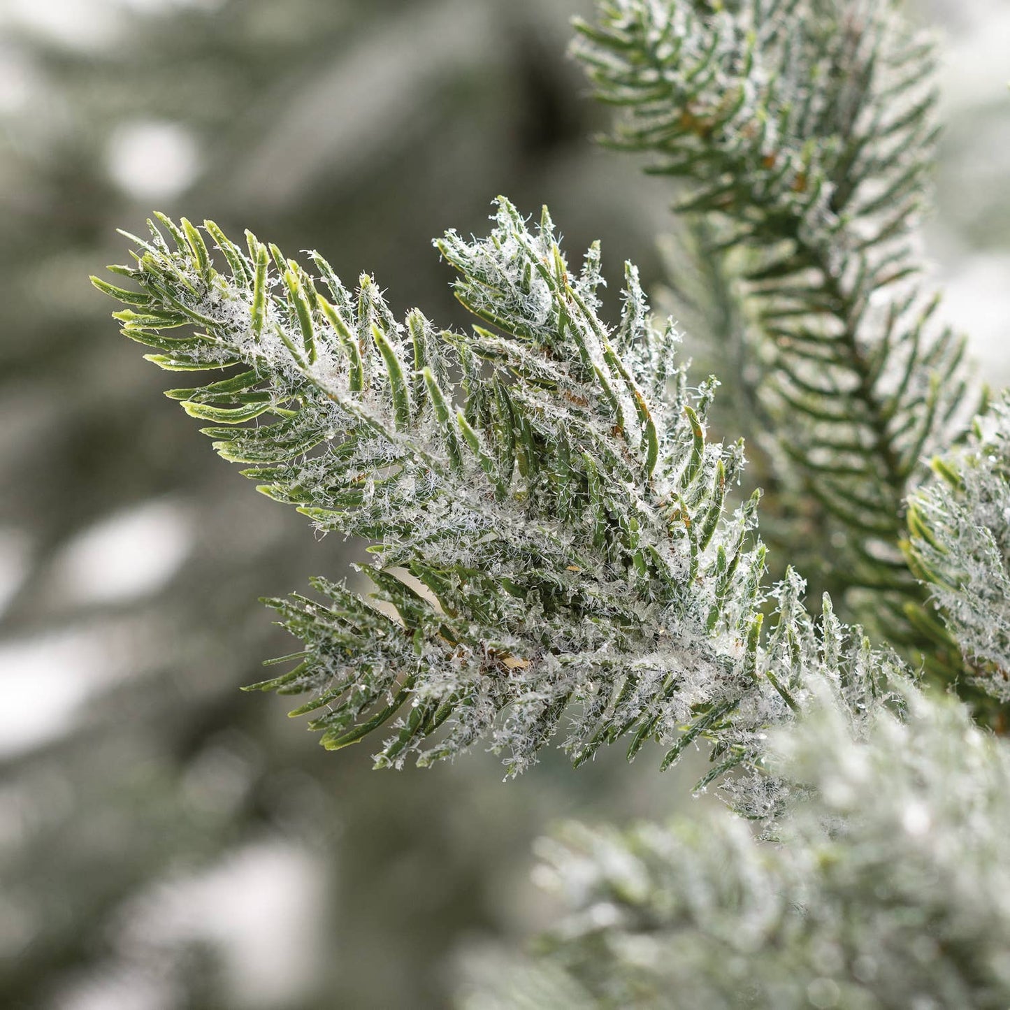 Ice 48" Tree