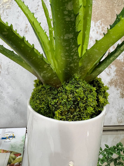 Artificial Petite Moss Dome Set