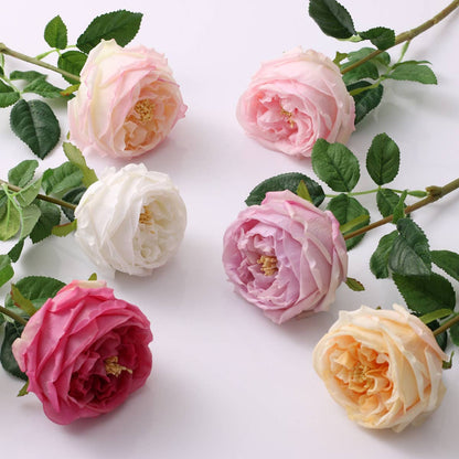 Premium Real touch English Austin Cabbage Rose Stem