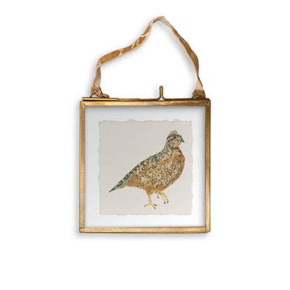 Brown Quail