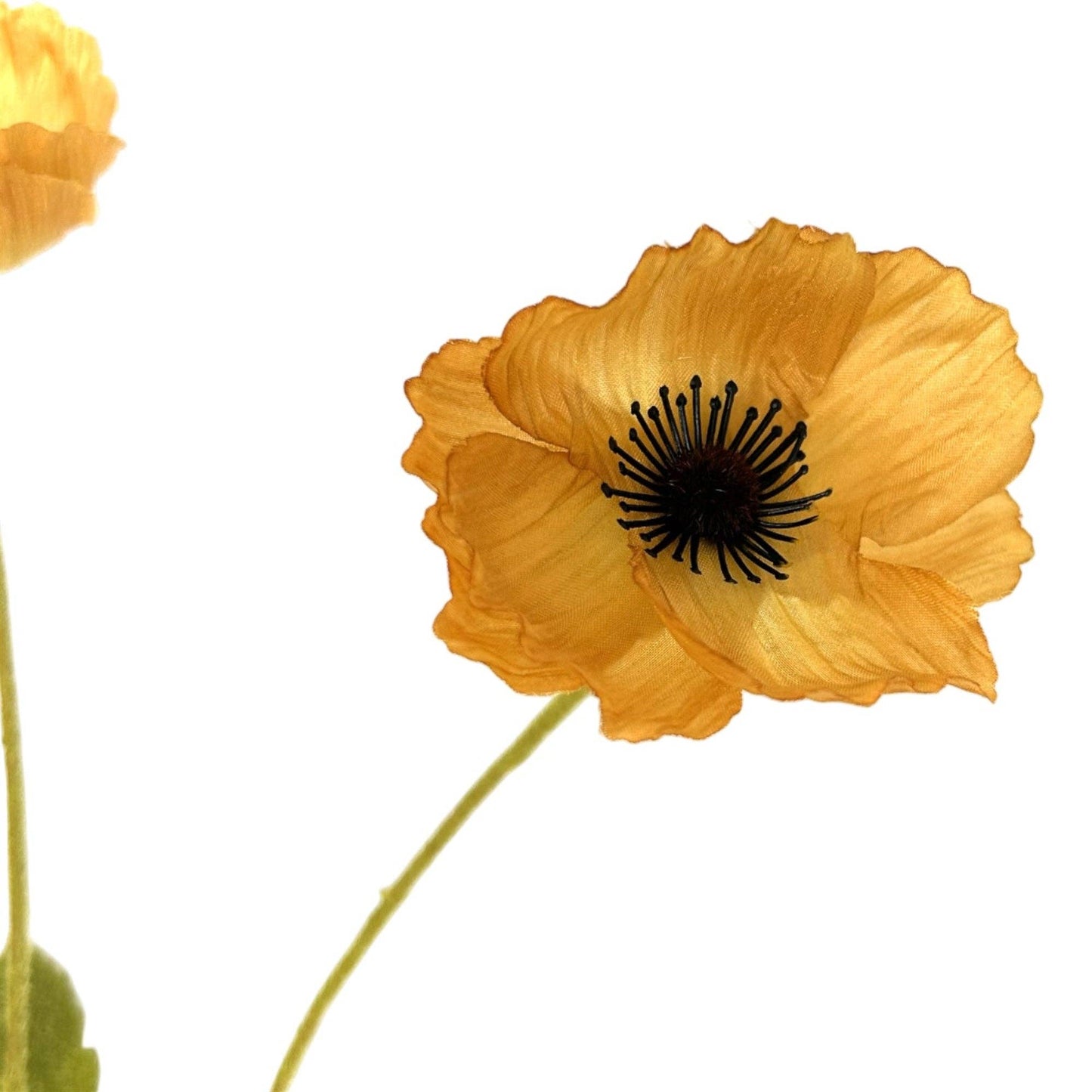 Mini Field Poppy Spray x4 - 23" - Dijon