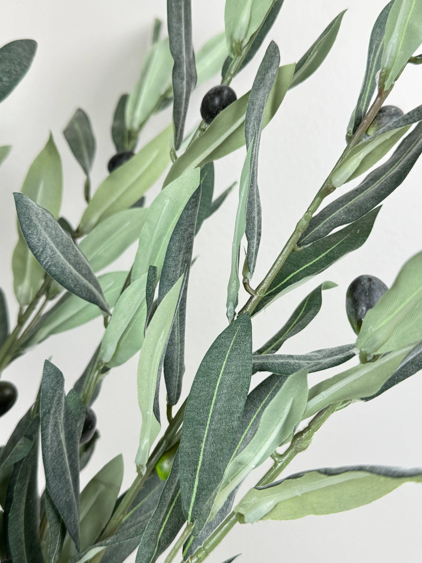 Premium Quality Olive Branch Leaf Fruit Spray-Frosty Green