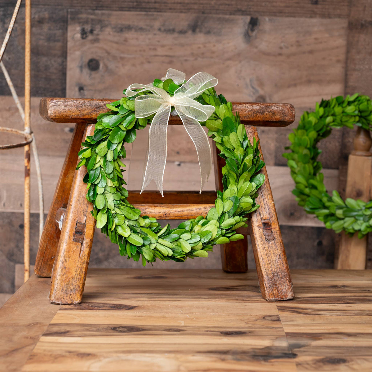 Preserved Boxwood Wreath - Round with Ribbon - 8 Inch