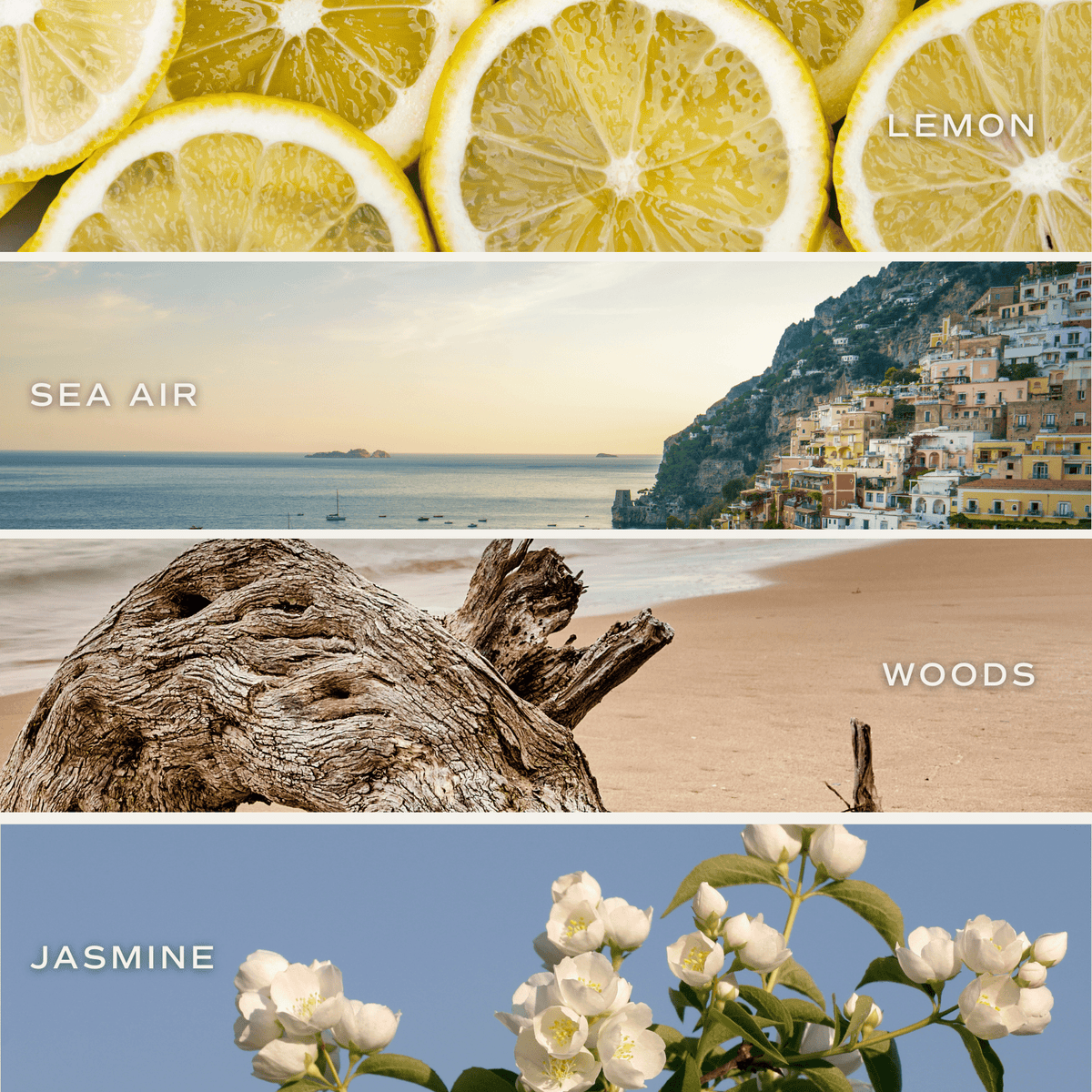 *NEW* Coastal Lemon 12 oz Soy Candle - Home Decor and Gifts