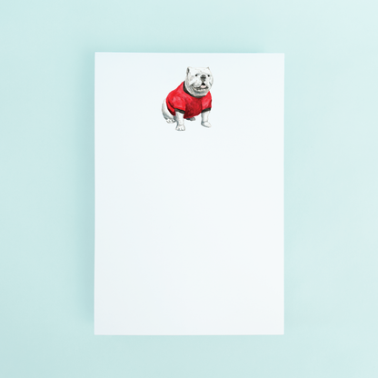 Bulldog