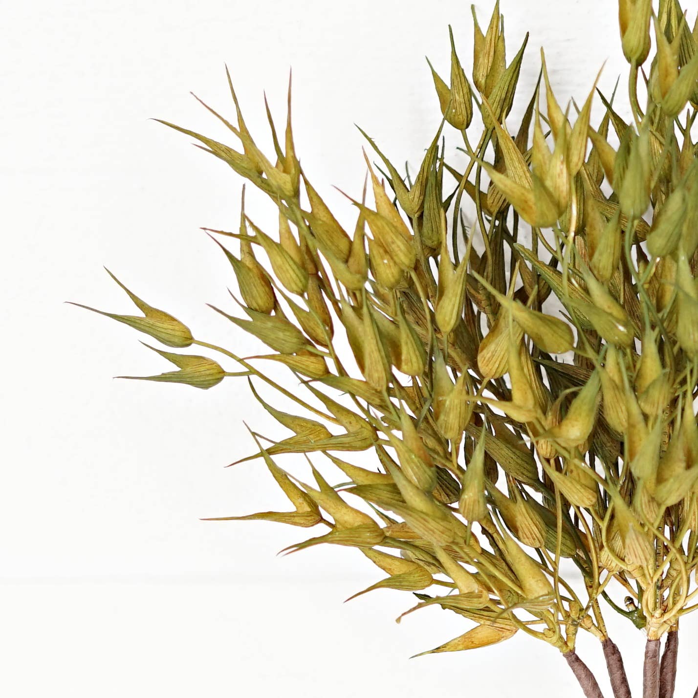 530062- 16in Bush-Sage Bearded Wheat Grass-