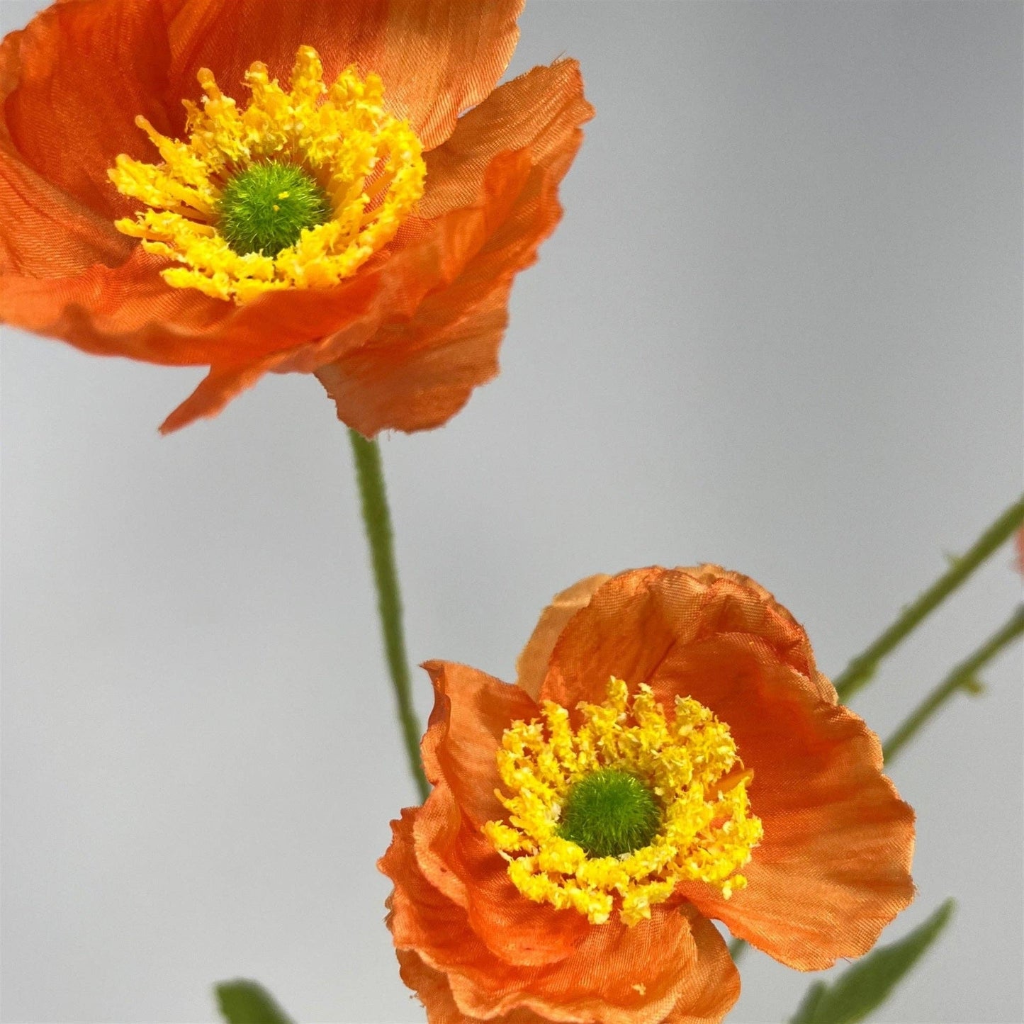 Mini Field Poppy Spray x4 - 23" - Orange