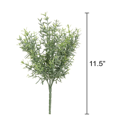 Dusty Rosemary Bush - 11-1/2 In