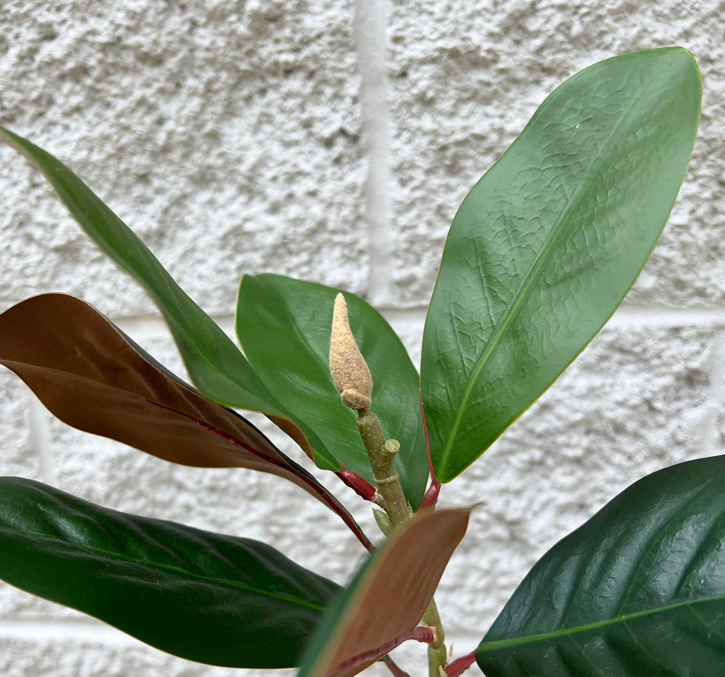 30"- Lifelike Real Touch Artificial Magnolia with Buds