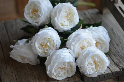 Premium Real touch English Austin Cabbage Rose Stem